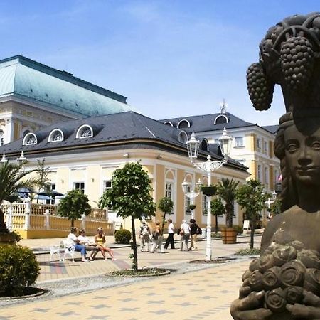 Penzion U Modrého Slona Františkovy Lázně Exterior foto